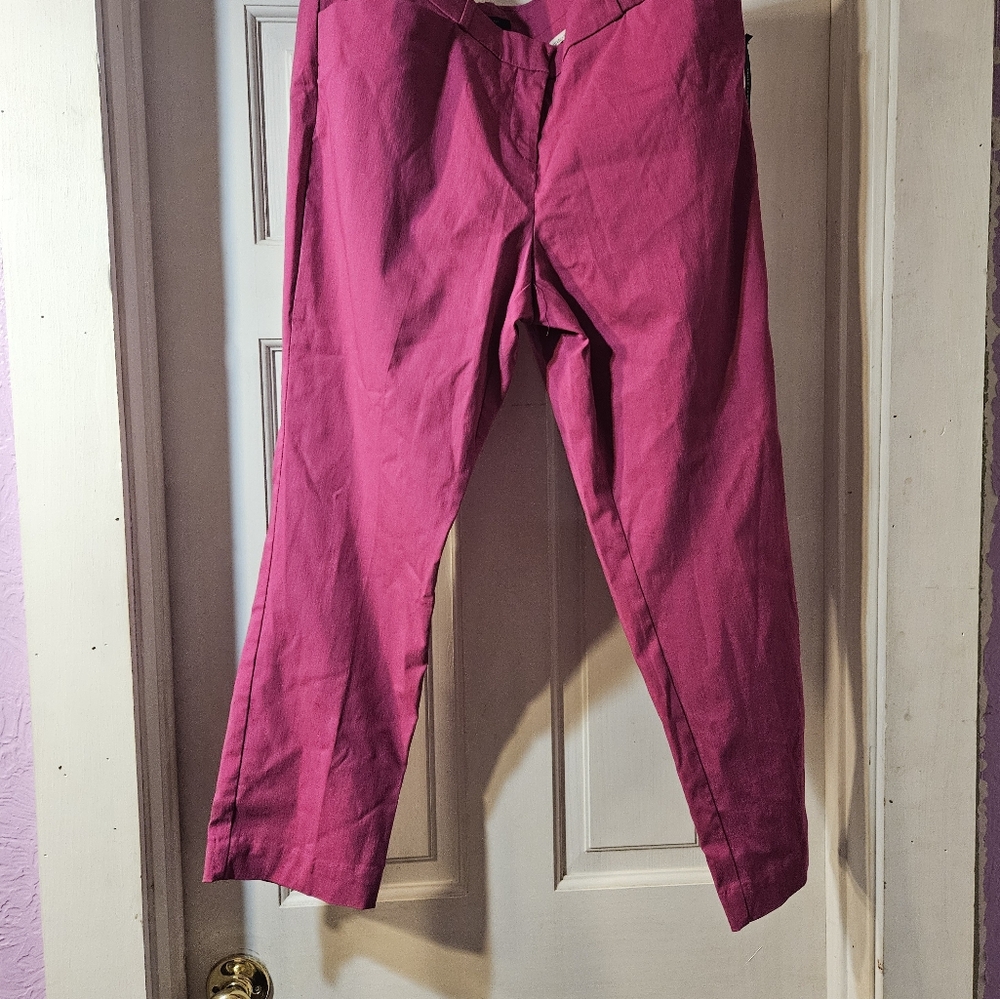 Worthington Vibrant Pink or Fusia Pants Size 14p